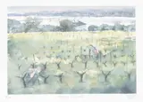 Hureau Vineyards, Watercolour On Paper by Jeremy Houghton, Watercolour on paper, sold Sep 2026