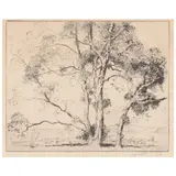 Sycamores by Alfred Heber Hutty, Etching and drypoint, sold Nov 2021