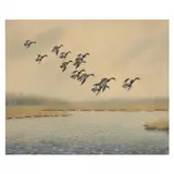 Landing Canvasbacks by Joseph Knapp, Washed pastel, sold Oct 2021