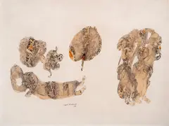 Untitled by Sakti Burman, Watercolour and pen on paper, sold Dec 2025