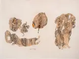 Untitled by Sakti Burman, Watercolour and pen on paper, sold Dec 2025