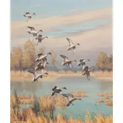 Ducks in Flight by Harry Curieux Adamson, oil on canvas, sold Dec 2025