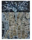Histology series-rhadomyolys by David Webster, Acrylique sur toile, sold May 2026