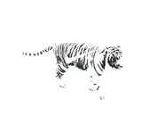 Tiger' 2009 Stencil and spraypaint on canvas Signed, dated, inscribed and numbered from an edition of 3 verso 40 x 50 cm ARR by Agent Provocateur, oil, offered Jun 2020