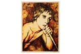 Iggy Pop' 2010 Screenprint on paper Edition of 450 by Shepard Fairey, Screenprint on paper Edition of, offered Jun 2020