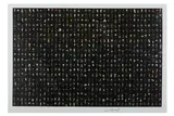Under Scan Print' accompanied by book 2005 Inkjet print of photograph Edition of 30 by Rafael Lozano-Hemmer, Print' accompanied by book, offered Jun 2020