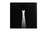 Untitled by Sam Haskins, print, offered Apr 2020