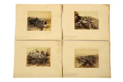 Untitled by Francis Bedford, photograph, offered Apr 2020