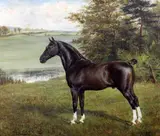 McKinley 6475' signed and dated 1902 20 x 24in by Allen C. Sealy, 1902, oil on canvas, sold Jun 2017