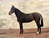 Just Fancy' signed, Frost and Reed label verso 16 x 20in by F. M. Hollams, oil on canvas, sold Jun 2017