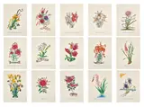I fiori surrealisti di Salvador Dalì by Salvador Dalí, Fifteen color lithographs embossed (relief) on handmade Arches paper in original case, ed, sold May 2026