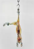 Coniglio by Michelangelo Pistoletto, Silkscreen printing on mirror-polished stainless steel, ed, sold May 2026