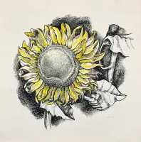 Girasole by Renato Guttuso, Ink and watercolor on paper, sold May 2026