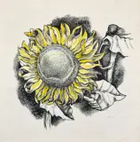 Girasole by Renato Guttuso, Ink and watercolor on paper, sold May 2026