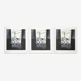 Bicycle, Group of 3 by Lowell Nesbitt, 1981, serigraph, sold Oct 2023