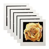 Yellow Rose (6 Works) by Lowell Nesbitt, 1982, serigraph, sold Oct 2023