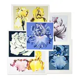 Floral Prints, Group of 6 by Lowell Nesbitt, serigraph, sold Oct 2023