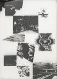 Cape Kennedy by Lowell Nesbitt, serigraph on plexiglass, sold Oct 2023