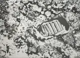 Untitled (Lunar Footprint) by Lowell Nesbitt, 1969, serigraph, sold Oct 2023