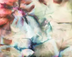 Description by Sam Gilliam - Untitled, ink, dye, and acrylic on paper, sold Dec 2023