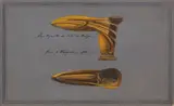 Béquille de by Henry de Waroquier, Gouache, sold Apr 2022