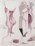 L’Écorché by Mihail Chemiakin, 1977, Encre et aquarelle, sold Apr 2022