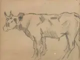 Etude de boeuf by Rembrandt Bugatti, Crayon noir sur papier beige, sold Feb 2009