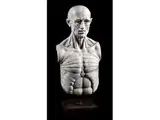 Untitled by Marmorskulptur in Form eines anatomischen Modells, marble, sold Dec 2018