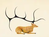 Elk by Benjamin Chee Chee, 1975, acrylic on paper, sold Feb 2017