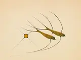 Swallows in Flight by Benjamin Chee Chee, 1974, acrylic on paper, sold Feb 2017