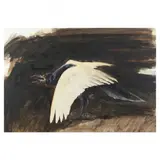 Rook (Corvus frugilegus) by Henry Bismuth, Watercolor on paper, sold Sep 2021