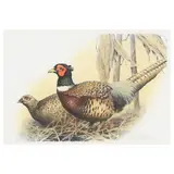 Pheasants by Ray Thompsen, Hand-colored lithograph, sold Sep 2021