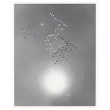 Snow Geese with Reflection of the Sun over Buena Vista, CA by William Garnett, 1953, Gelatin silver print (mounted), sold Sep 2021