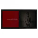 (Yo), no.1" from Conjugación de Intimidad by Luis González Palma, Mixed-media diptych with gelatin silver print and text over textile, sold Sep 2021