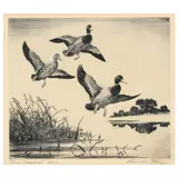 Three Mallards by Churchill Ettinger, Etching and drypoint, sold Aug 2021