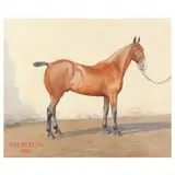 Portrait of a Hunter Horse, "Murton, 1933 by H. B. Green, Watercolor on thick paper, sold Aug 2021