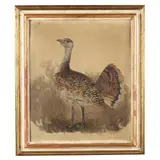 Game Bird by Renz Waller, Oil on canvas, sold Aug 2021