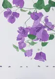 The Purple Bougainvillea Flower by Phaneendra Nath Chaturvedi, Pencil and watercolour on paper, sold May 2025