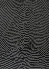 Traces by A. Balasubramaniam, 2004, Stencil, acrylic and silicon on canvas, offered Jun 2025