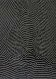 Traces by A. Balasubramaniam, 2004, Stencil, acrylic and silicon on canvas, offered Jun 2025