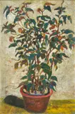 Still Life by Krishnaji Howlaji, Oil on board, sold Dec 2023