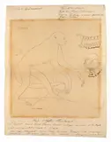 Ensemble de dessins autour du thème des animaux by Adolphe Viollet-le-Duc, Ensemble de 34 dessins, sold Sep 2026