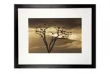 Untitled by Martyn Colbeck, print, offered Mar 2020