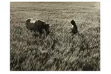 Untitled by Pedro Luis Raota, print, offered Mar 2020