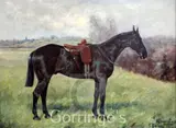 Atherstone - Queen Victoria's favourite hack by George Paice, oil on canvas, sold Mar 2016