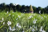 Quiet Farm, near Burwash by Paul Evans, gouache, sold Feb 2016