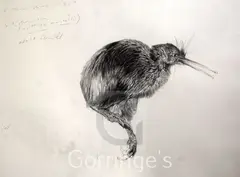 Study of a kiwi by Raymond Ching, 1989, pencil, sold Feb 2016