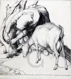 Tethering the goat by Robert Austin, etching, sold Feb 2016