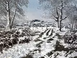 Limited edition etching by Graham Evenden, Wood,signed in pencil, sold Feb 2016