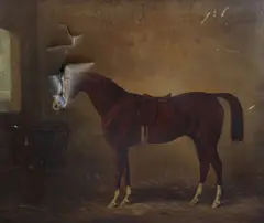 Portrait of the racehorse 'Nicholon by Orlando-Muscouileu Dam by Camel by Henry Barraud, oil on canvas, sold Dec 2015